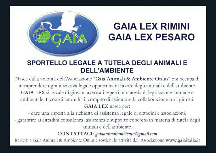 gaia lex pesaro img-20161003-wa0001 - copia